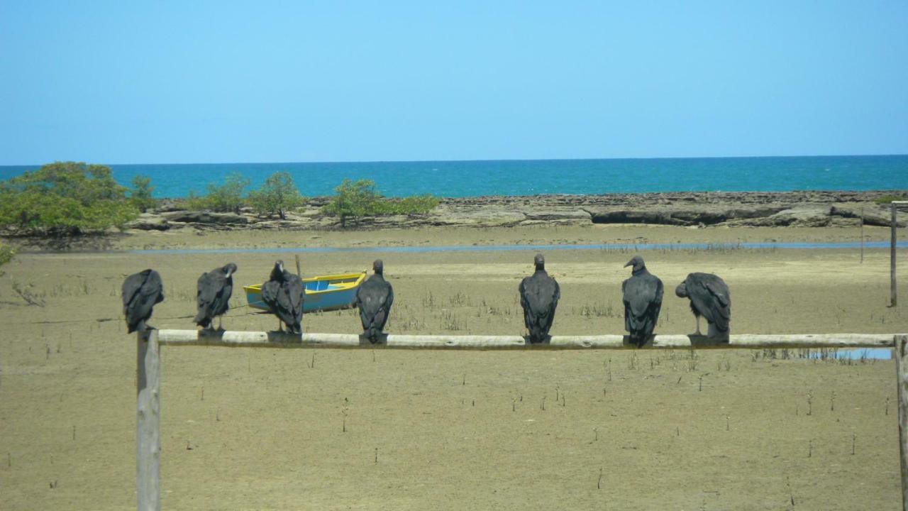 Residencial Praia Dos Corais Coroa Vermelha エクステリア 写真